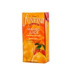 Fontana Mango Juice 1L