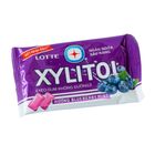 Lotte Xylitol Blister Blueberry Mint 11.6g