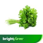 brightfarms Coriander Leaves (Dhaniapata) 100g ±10g