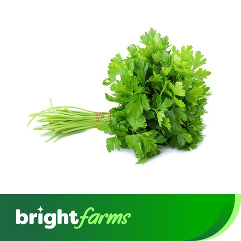 brightfarms Coriander Leaves (Dhaniapata) 100g ±10g