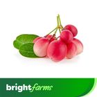 brightfarms Koromcha Bengal currant 250g (±10g)