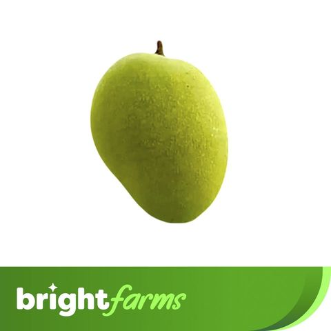 brightfarms Mango (Amrapali Aam) 1 Piece 200g+