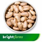 brightfarms Jackfruit Seed (Kathal Bichi) 500g ±25g