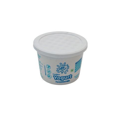 Shokti+ Sour Yogurt 500g