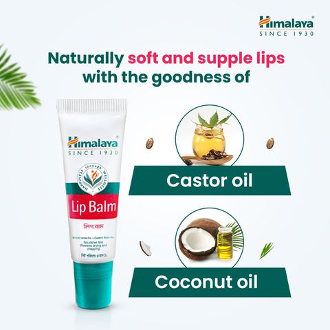 Himalaya Lip Balm 5g