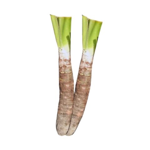 brightfarms Taro (Kochu) 1 Piece