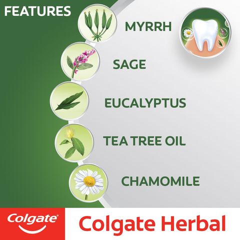 Colgate Herbal Toothpaste 100g