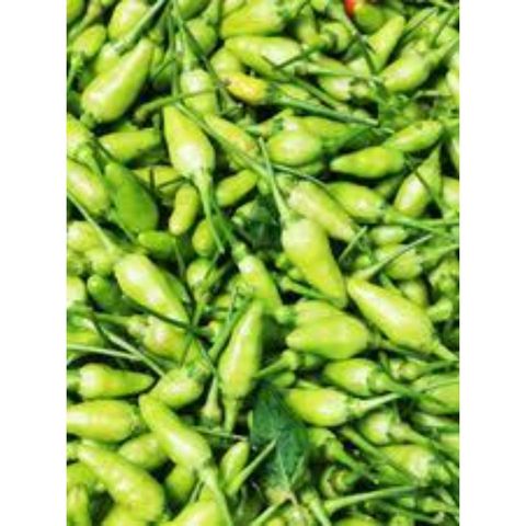 Green Potka Morich Kolatia 250gm ±10g