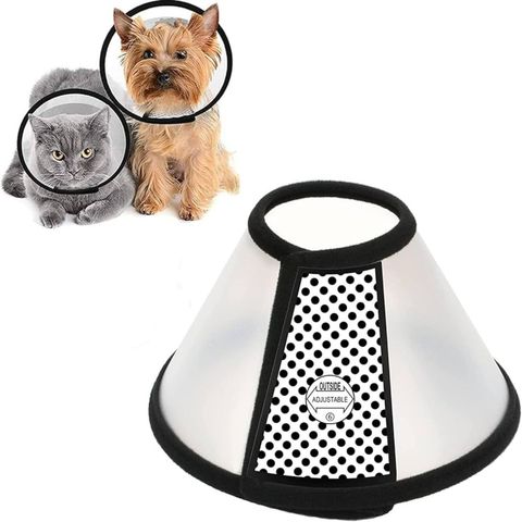 Cat & Dog E Collar 01pc Assorted