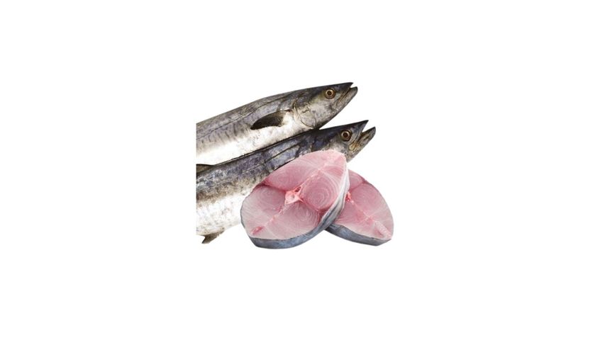 Fresh Sea Fish King Fish Shurma Cut & Clean 500g