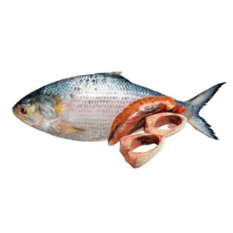 Hilsha 900g ±50g