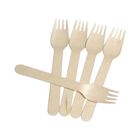 Pisces Biodegradable Fork 160 mm Set of 6