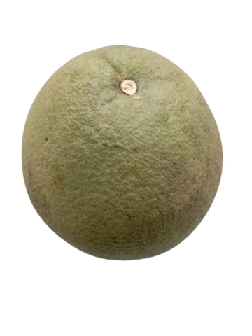 brightfarms Jambura Pomelo 1 Piece