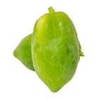 Green Papaya Kacha Pepe (Kolatia) 1.2kg ± 50g