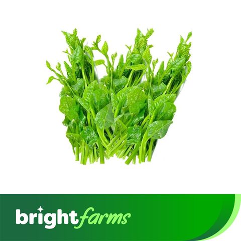 brightfarms Spinach Puishak Indian Bundle 500g ± 50g