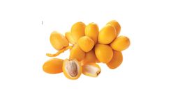 Kacha Khejur 500g