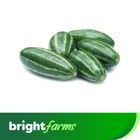 brightfarms Pointed Gourd (Potol) 600g ± 25g