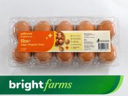 brightfarms Egg Brown Regular 12 Pieces