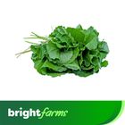 brightfarms Pennywort Leaves (Thankuni Pata) 8pcs Bundle 100g +/-10g
