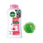 Buy 1 Dettol Skincare Bodywash Rose & Sakura Blossom 250ml & Get Free Loofah 1 Piece