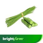 brightfarms Sajna 700g (±20g)