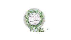 Watteh Greens Radish Micro Green 25g