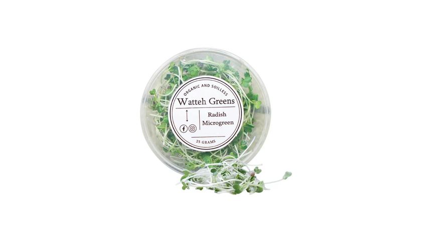 Watteh Greens Radish Micro Green 25g