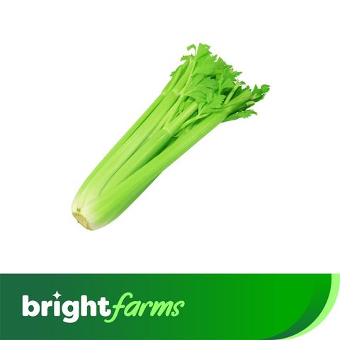 brightfarms Celery Stick Thailand 500g  ±20g