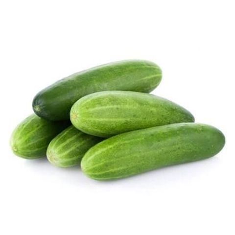 brightfarms Hybrid Cucumber (Shosha) 600g ±25g