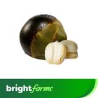 brightfarms Taler Sash 6pcs