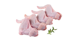 Bengal Meat Chicken Wings (12-16 Pieces) 1kg