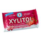 Lotte Xylitol Blister Strawberry Mint 11.6g