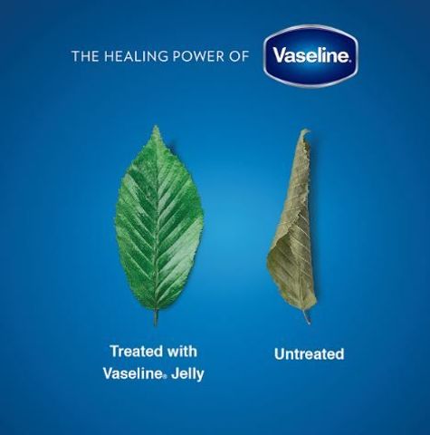 Vaseline Petroleum Jelly 50ml