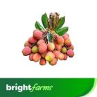 brightfarms Lychee (Bombay) 50pcs