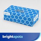 brightspots Facial Tissue White 120 Sheets