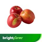 brightfarms Red Apple (China) 1kg (±50g)