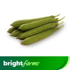 brightfarms Ridge Gourd (Jhinga) 500g ± 30g