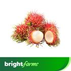 brightfarms Rambutan Imported 400g ±10g