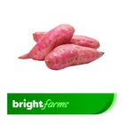 brightfarms Sweet Potato Misti Alu 1kg (±50g)