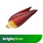 brightfarms Jhum Pahari Kolar Mocha (Banana Flower) 1 Piece