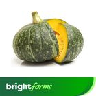 brightfarms Green Pumpkin (Kumra) 1 Piece 1.5kg