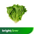brightfarms Lettuce 100g ±10g