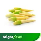brightfarms Fresh Baby Corn 10 Pieces