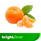 brightfarms Orange (Komola) 1kg (±30g)