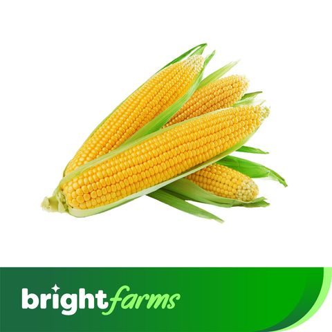 brightfarms Fresh Sweet Corn Whole Imported 300g ±10g