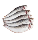 Daily Meat Tatkini Cut & Clean 500g ±25g