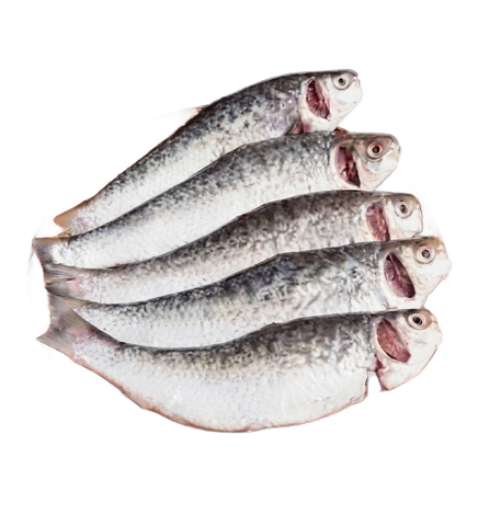 Daily Meat Tatkini Cut & Clean 500g ±25g