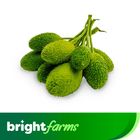 brightfarms Teasel Gourd (Kakrol) 500g ± 25g