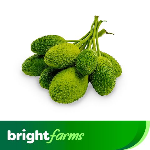 brightfarms Teasel Gourd (Kakrol) 500g ± 25g