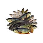 Deshi Mix Fish Cut & Clean 500g ± 20g